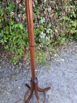 Porte-manteau Baumann "perroquet"