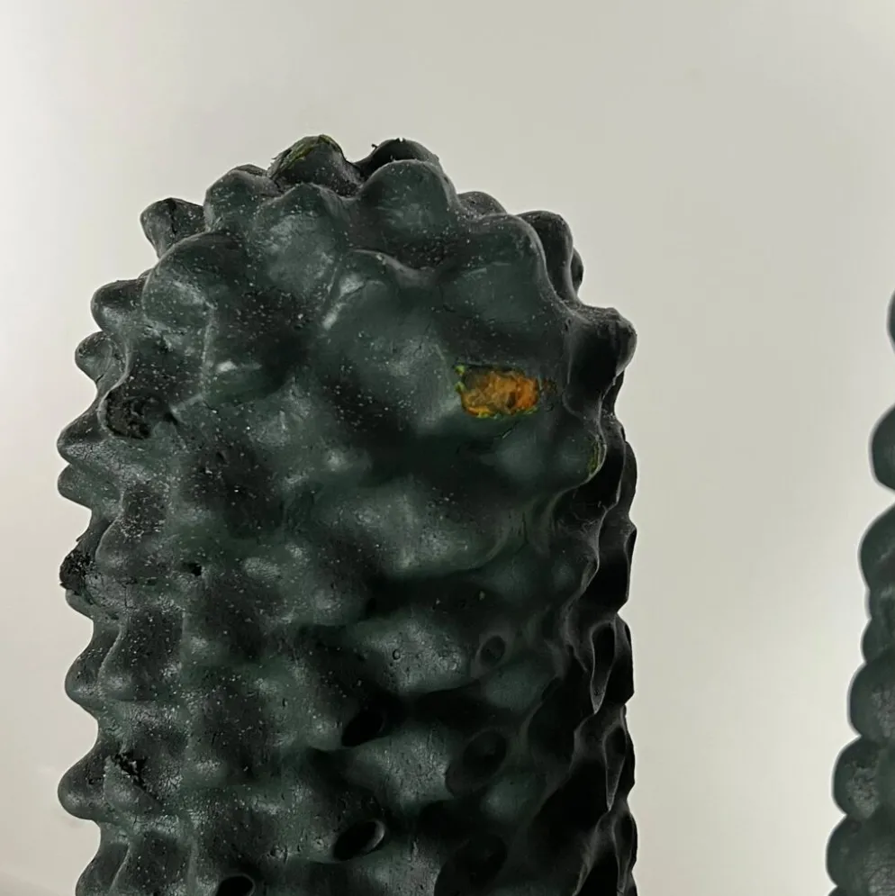 Portemanteau Cactus par Guido Drocco et Franco Mello pour Gufram 1972