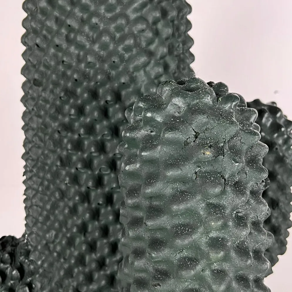 Portemanteau Cactus par Guido Drocco et Franco Mello pour Gufram 1972