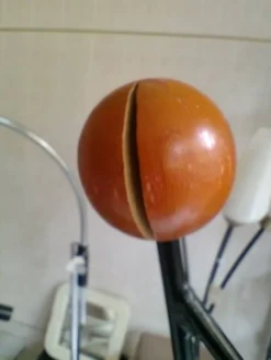 Porte-manteau design Roger Féraud