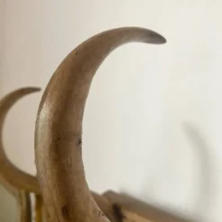 Porte manteau en bois courbé début XXe