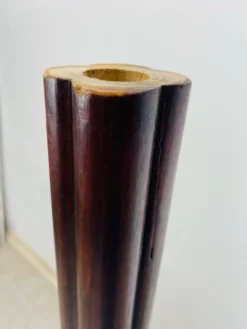 Portemanteau perroquet