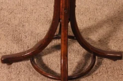 Porte Manteau perroquet, Art Nouveau, dit Thonet