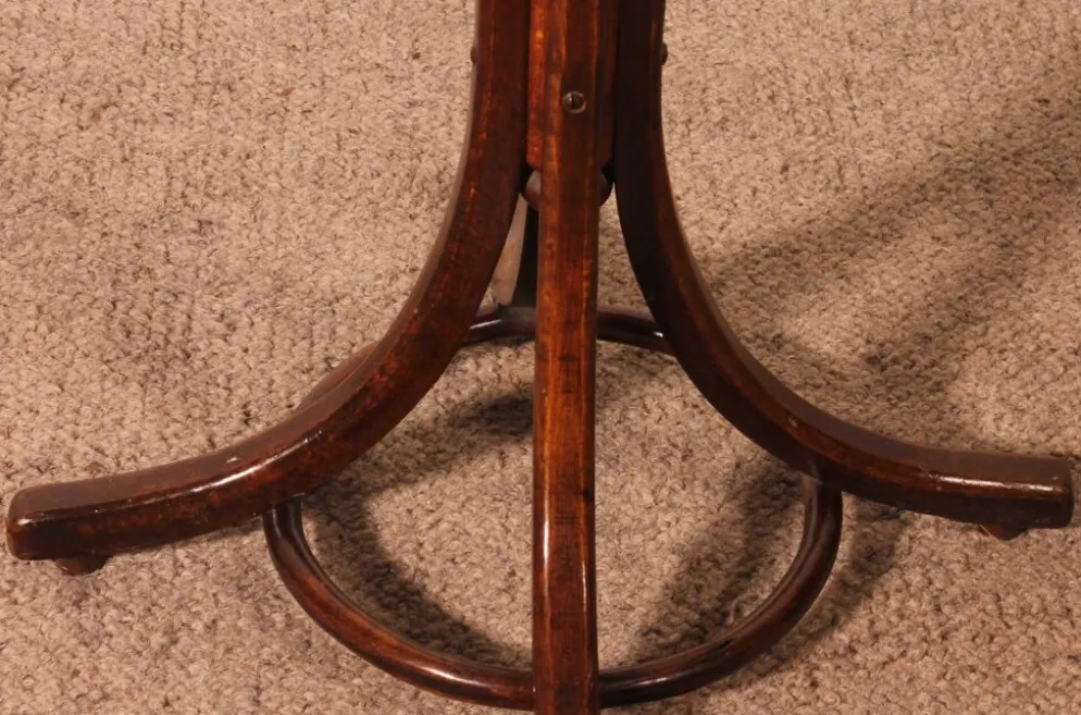 Porte Manteau perroquet, Art Nouveau, dit Thonet