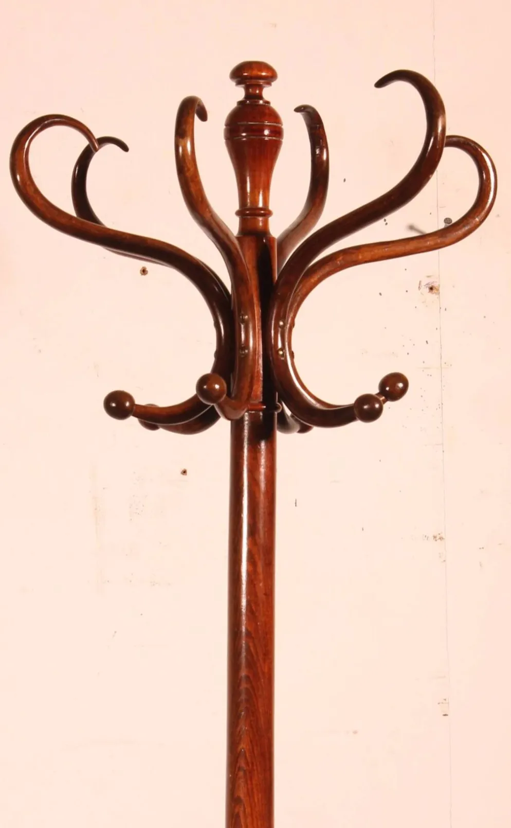 Porte Manteau perroquet, Art Nouveau, dit Thonet