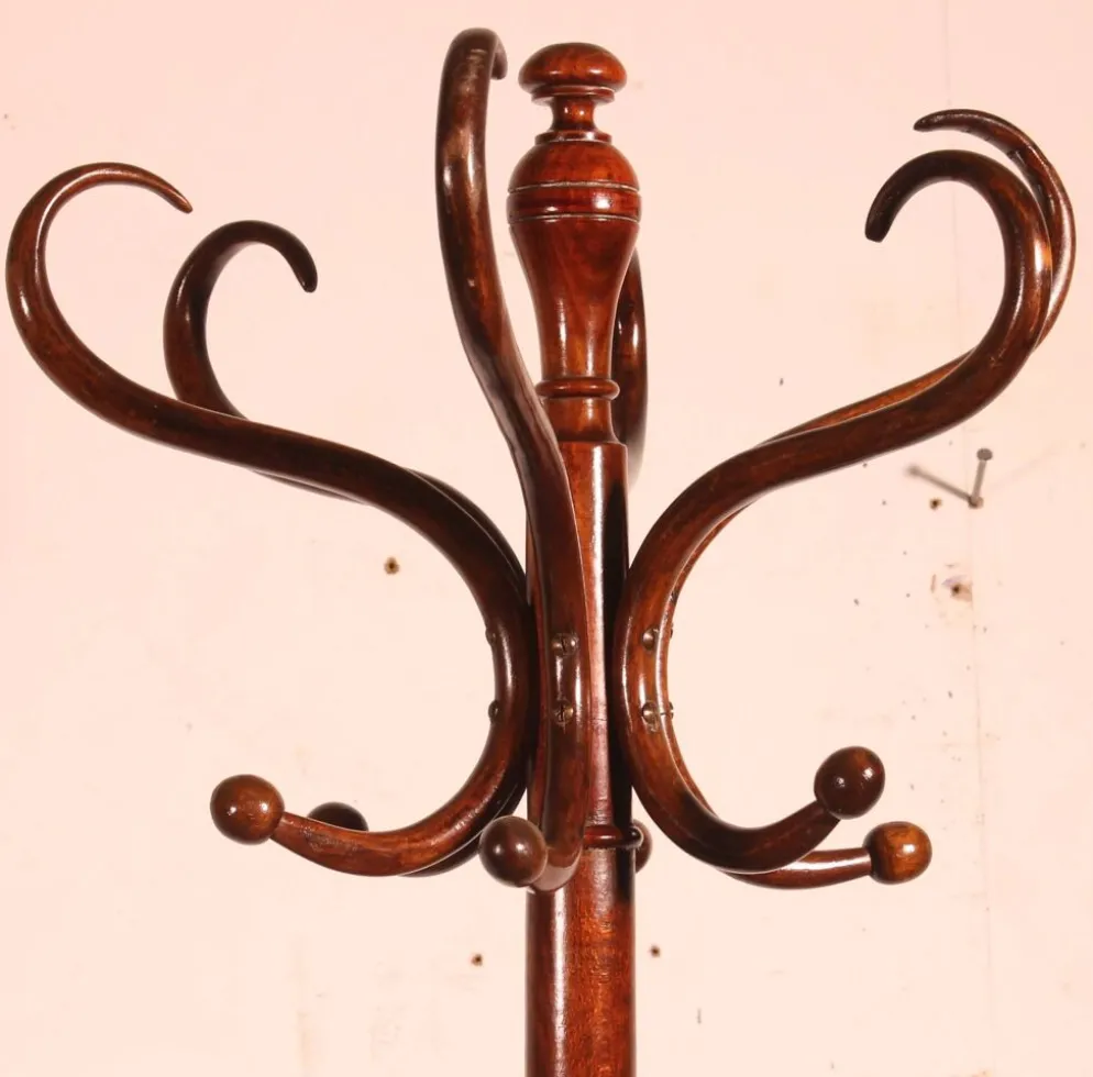 Porte Manteau perroquet, Art Nouveau, dit Thonet