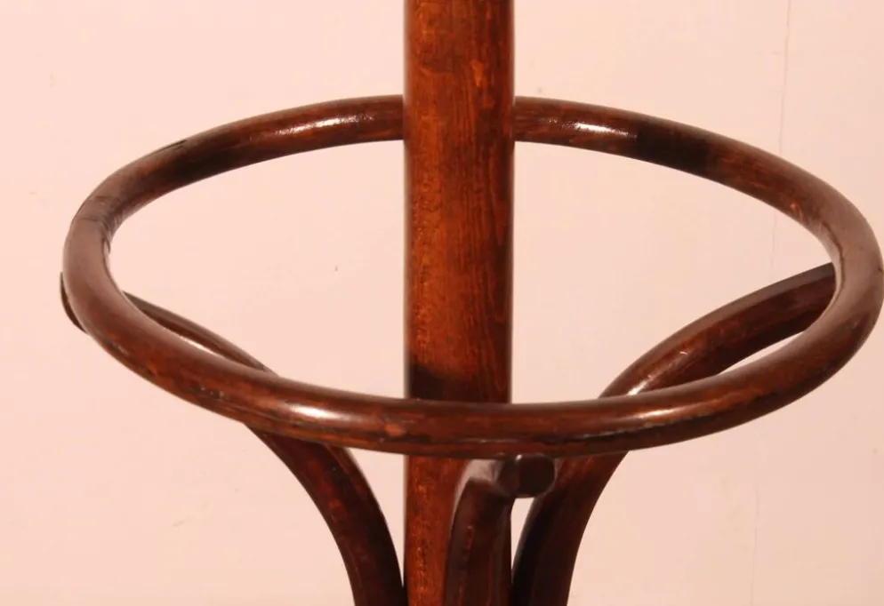 Porte Manteau perroquet, Art Nouveau, dit Thonet