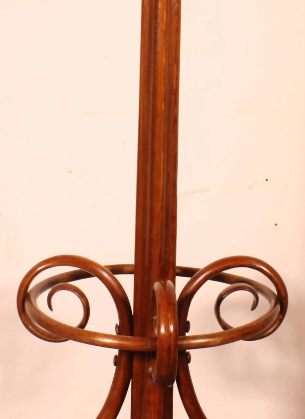 Portemanteau perroquet Art Nouveau, dit Thonet