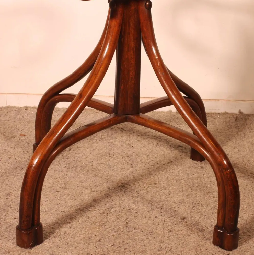 Portemanteau perroquet Art Nouveau, dit Thonet