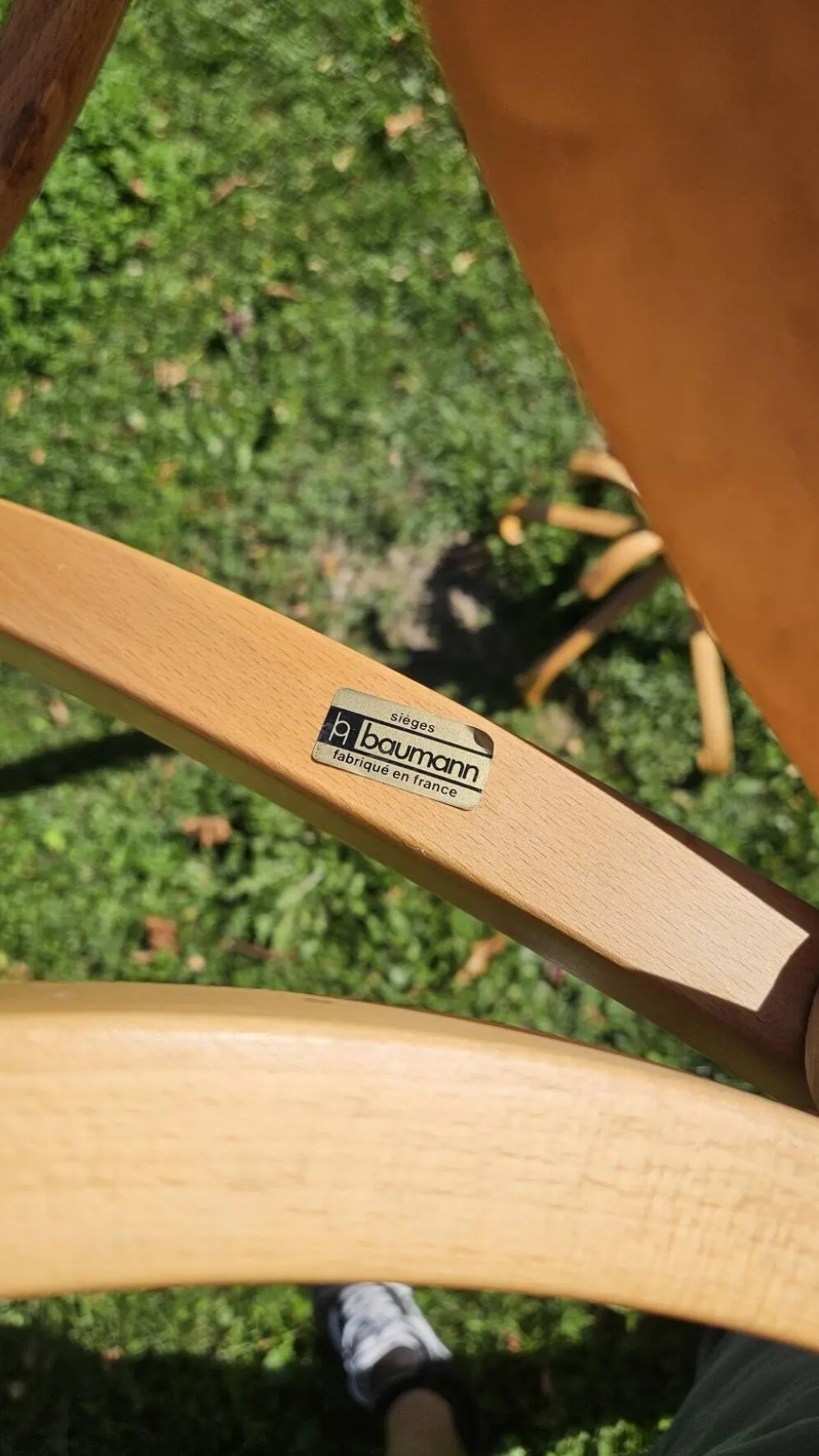 Porte manteau perroquet Baumann