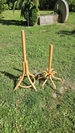 Porte manteau perroquet Baumann