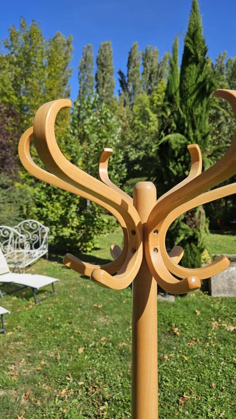 Porte manteau perroquet Baumann