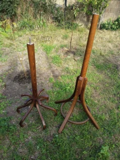 Porte manteau perroquet Baumann