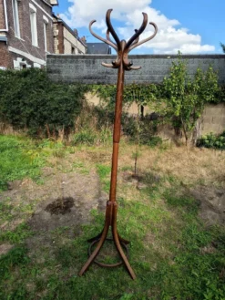 Porte manteau perroquet Baumann