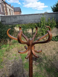 Porte manteau perroquet Baumann