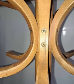 Porte manteau perroquet. Baumann .