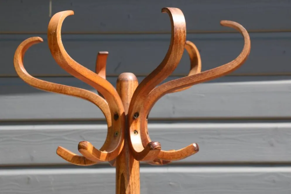 Portemanteau perroquet BAUMANN foncé (A3)