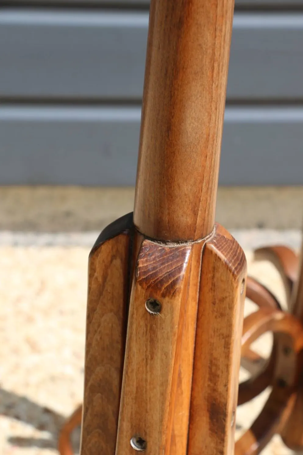 Portemanteau perroquet BAUMANN foncé (A3)