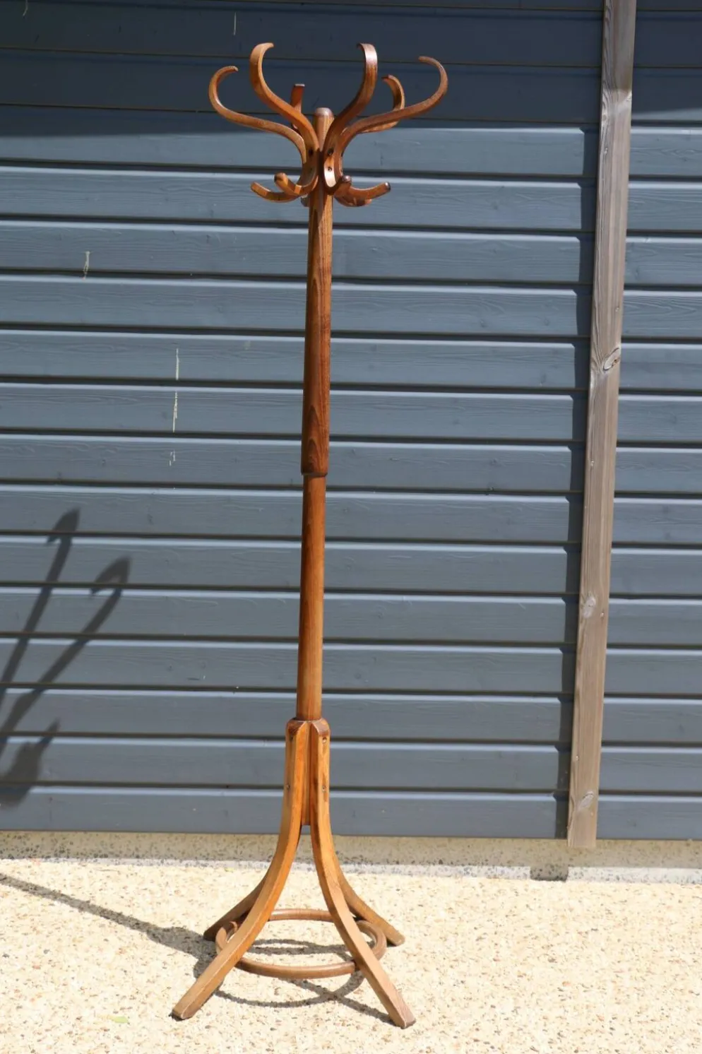 Portemanteau perroquet BAUMANN foncé (A3)