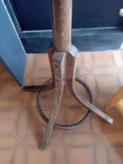 Porte manteau perroquet Baumann