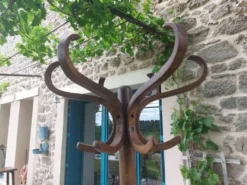 Portemanteau perroquet bois massif, style baumann