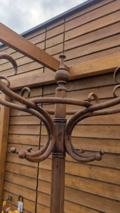 Porte manteau Perroquet en bois courbé