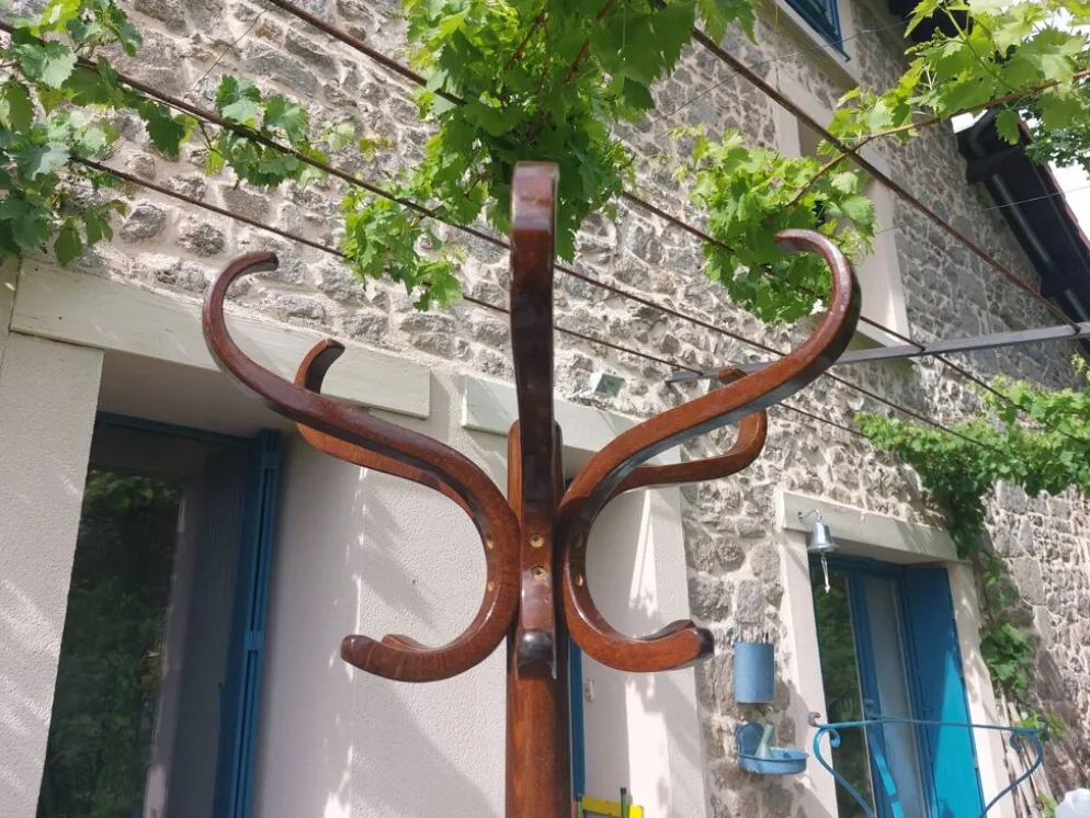 portemanteau perroquet, en bois de teinte foncée