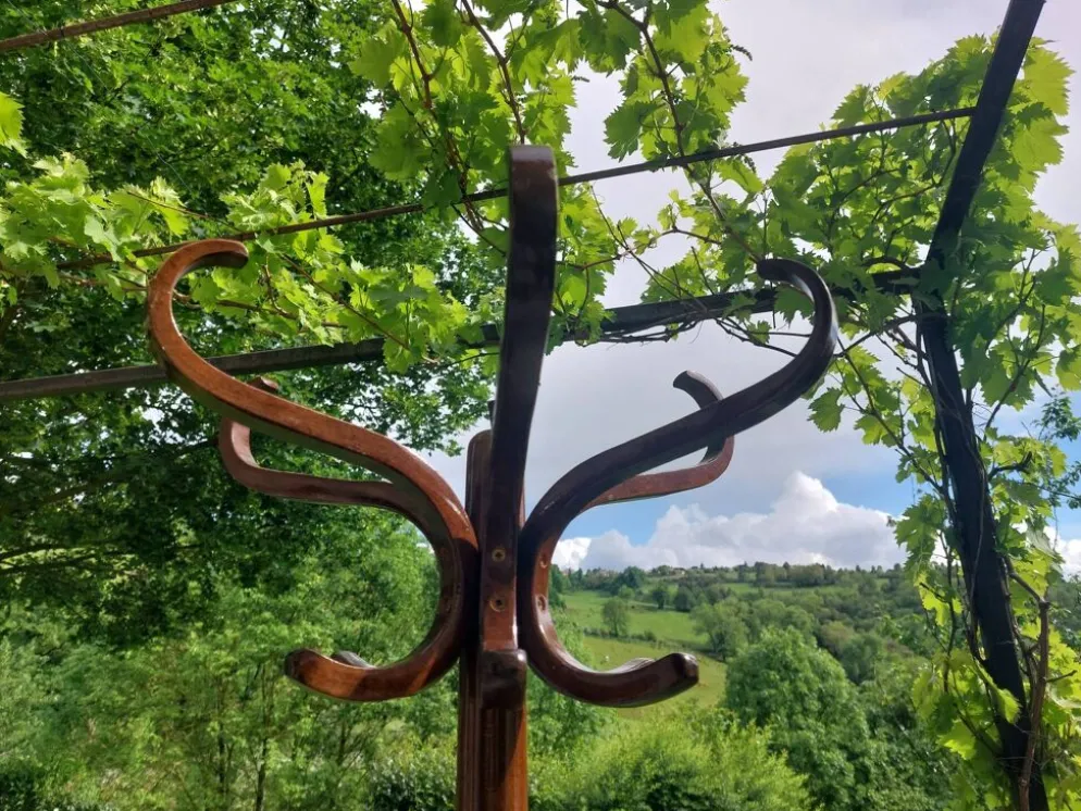 portemanteau perroquet, en bois de teinte foncée