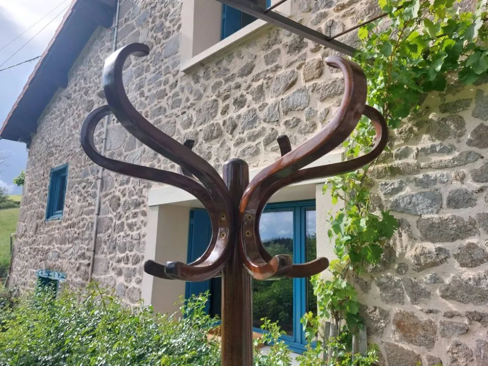 portemanteau perroquet, en bois de teinte foncée