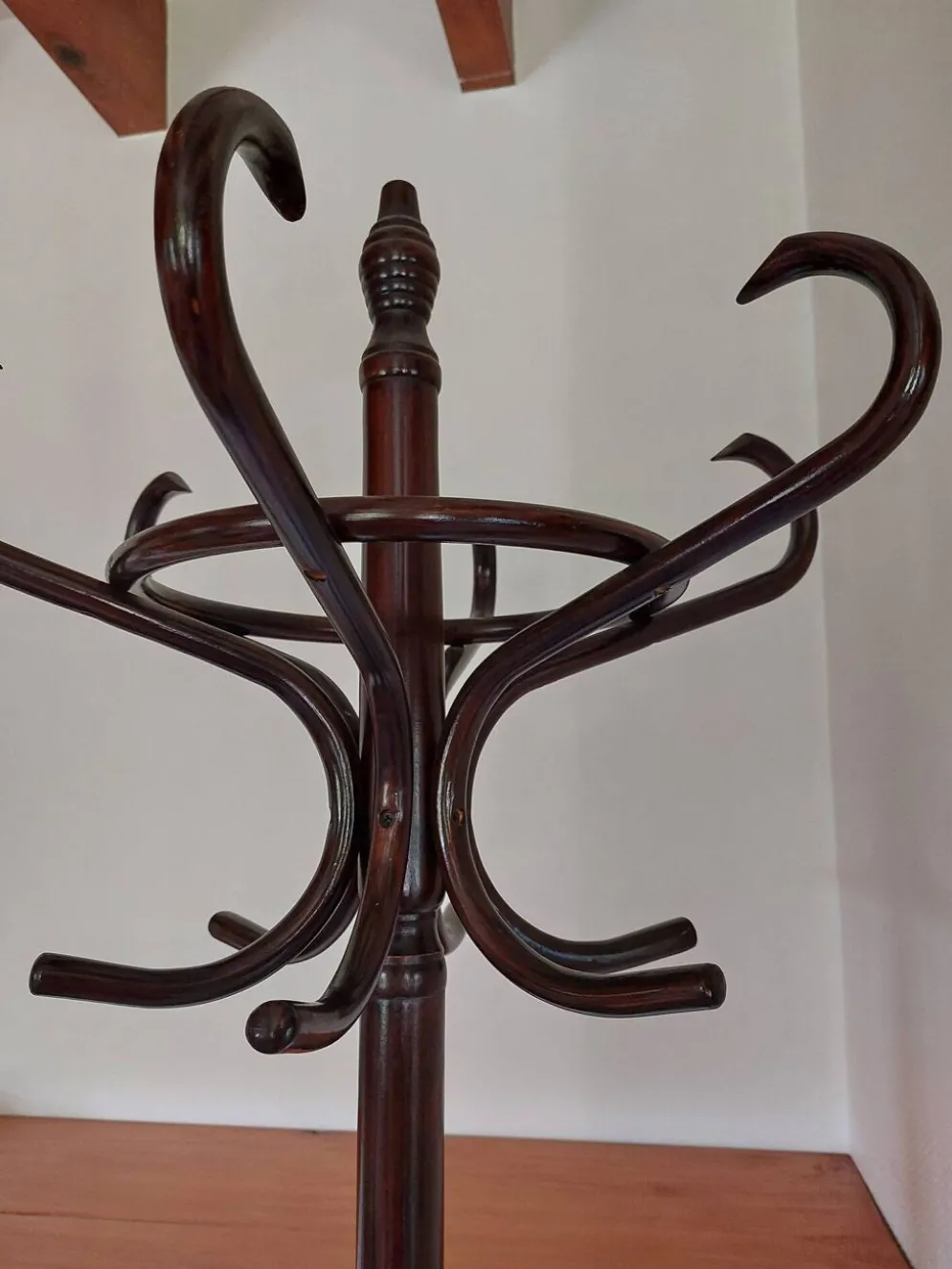 portemanteau perroquet, teinte foncée