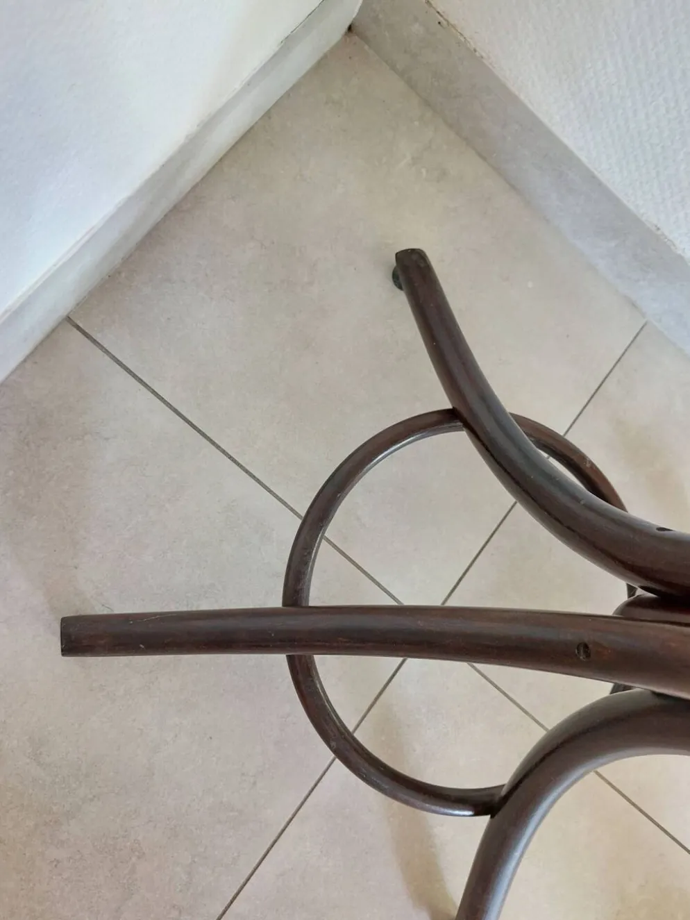 portemanteau perroquet, teinte foncée