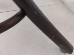 portemanteau perroquet, teinte foncée
