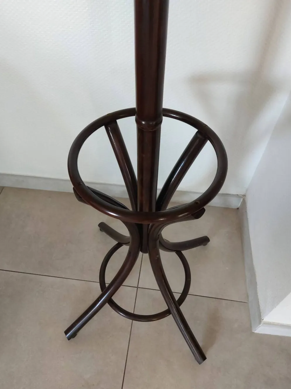 portemanteau perroquet, teinte foncée