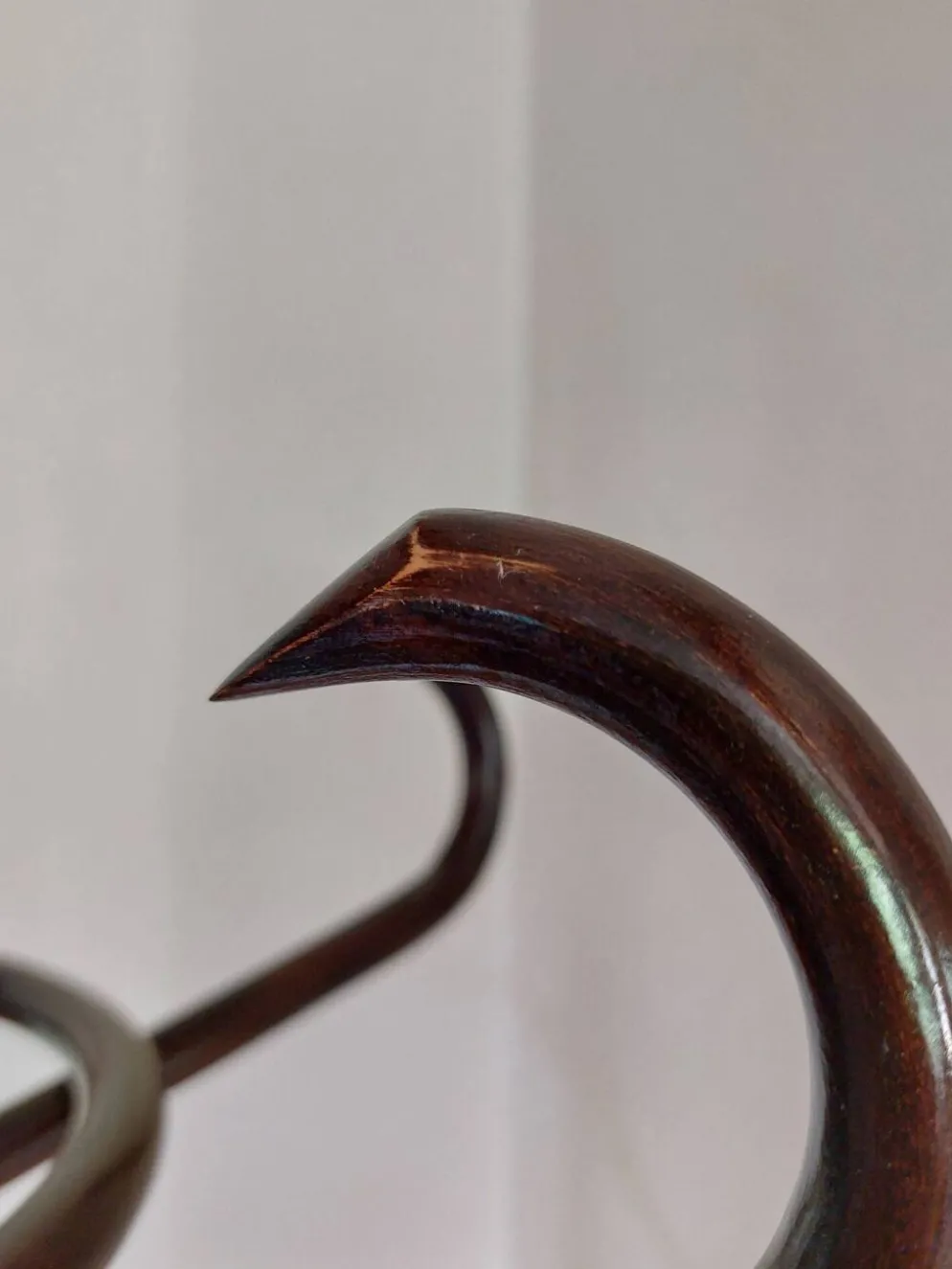 portemanteau perroquet, teinte foncée