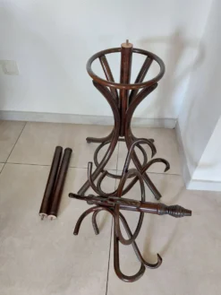 portemanteau perroquet, teinte foncée