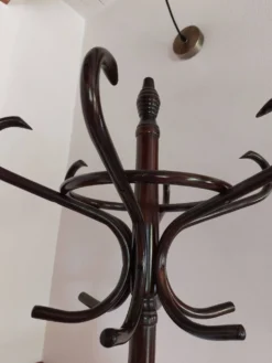 portemanteau perroquet, teinte foncée