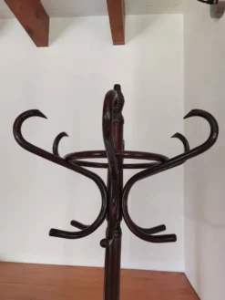 portemanteau perroquet, teinte foncée