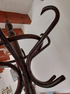 portemanteau perroquet, teinte foncée