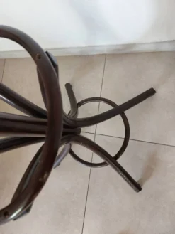 portemanteau perroquet, teinte foncée