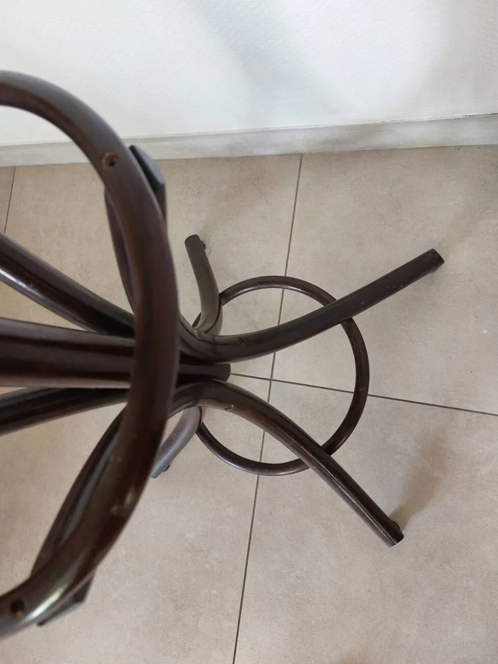 portemanteau perroquet, teinte foncée