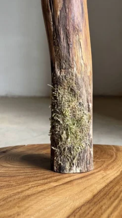 Porte-manteau sculptural - Porte-manteau en bois de chêne