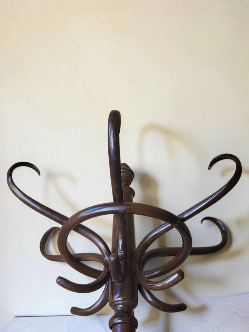Porte manteaux Perroquet en bois courbé de Thonet