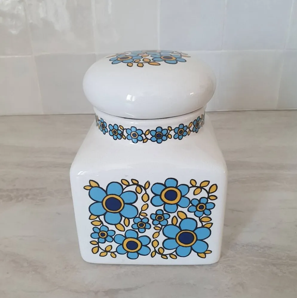Pot rangement céramique motif fleur bleu Tauntun Vale / England