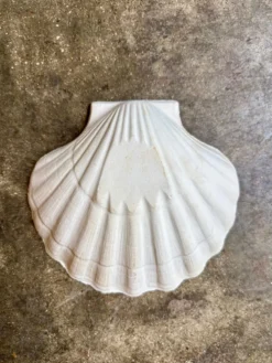 Ramequin coquillage en faïence blanche