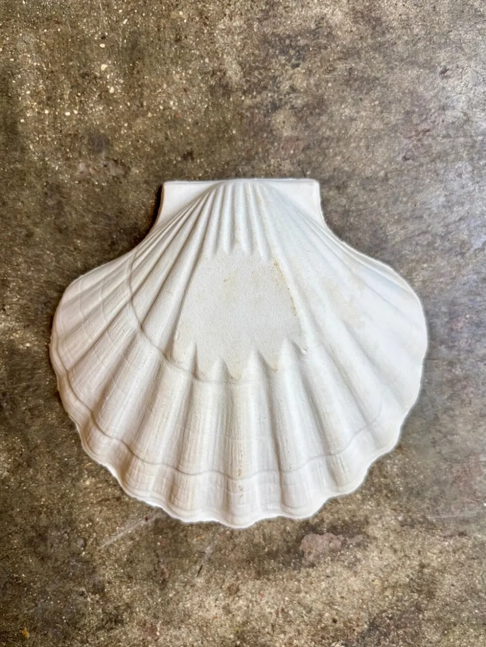 Ramequin coquillage en faïence blanche