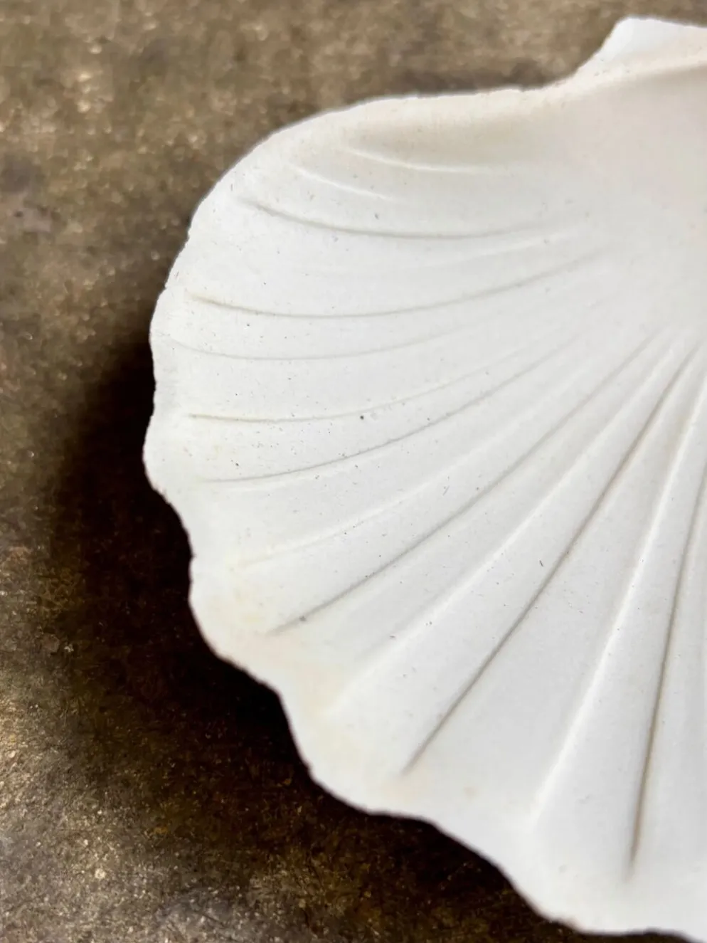 Ramequin coquillage en faïence blanche