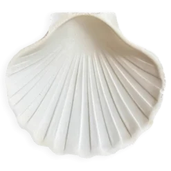 Ramequin coquillage en faïence blanche