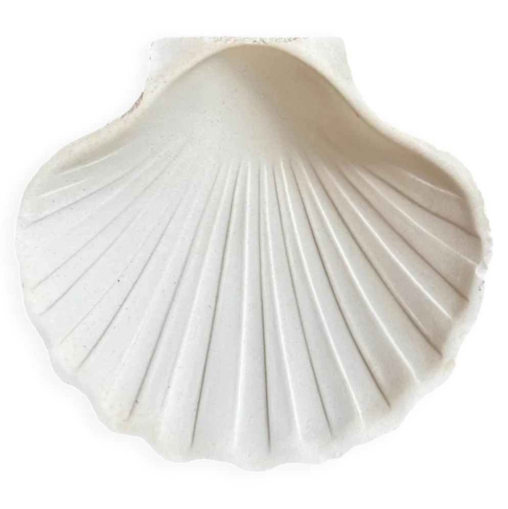 Ramequin coquillage en faïence blanche