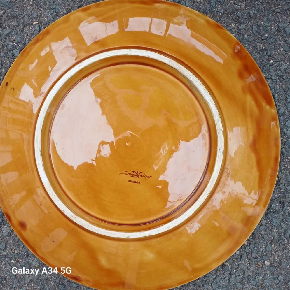 Rare grand plat Majolique Nénuphar – Sarreguemines Vintage