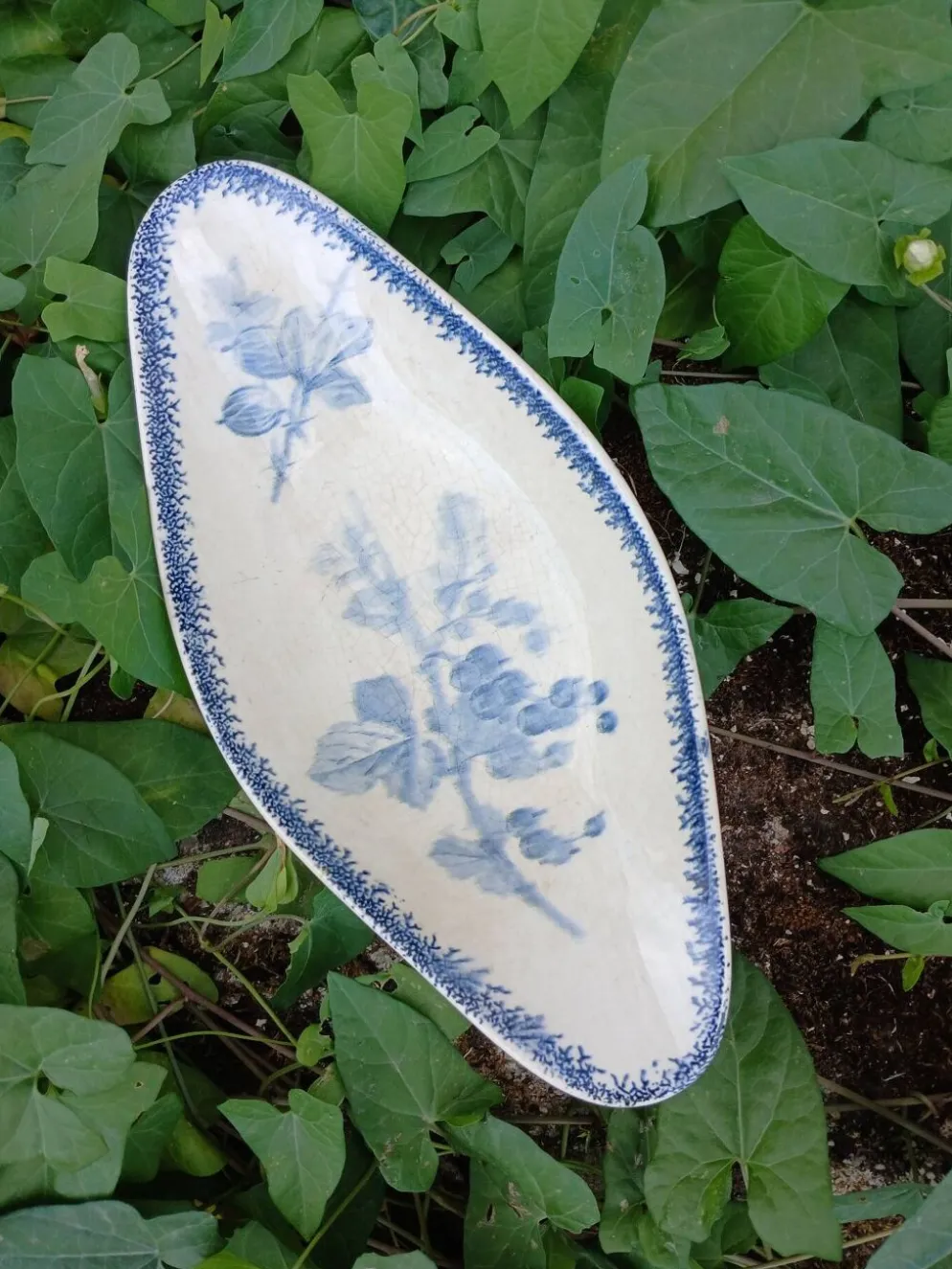 Ravier ancien en Terre de fer Sarreguemines